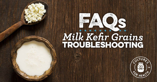 https://www.culturesforhealth.com/learn/milk-kefir/milk-kefir-grains-troubleshooting-faq-advice/