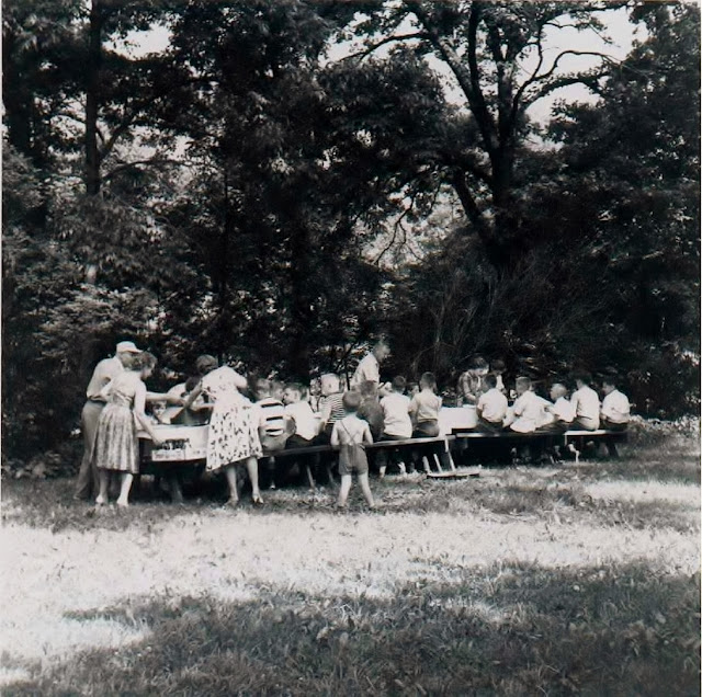 Amber Reunion Picnic Culture Introduction