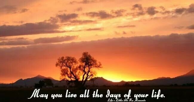 Quotes May You Live All The Days Of Your Life Jonathan Swift