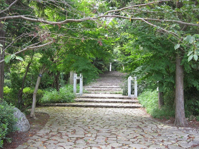 参道 能褒野神社の参道