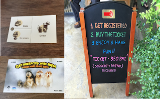 True Love Husky Cafe in Bangkok