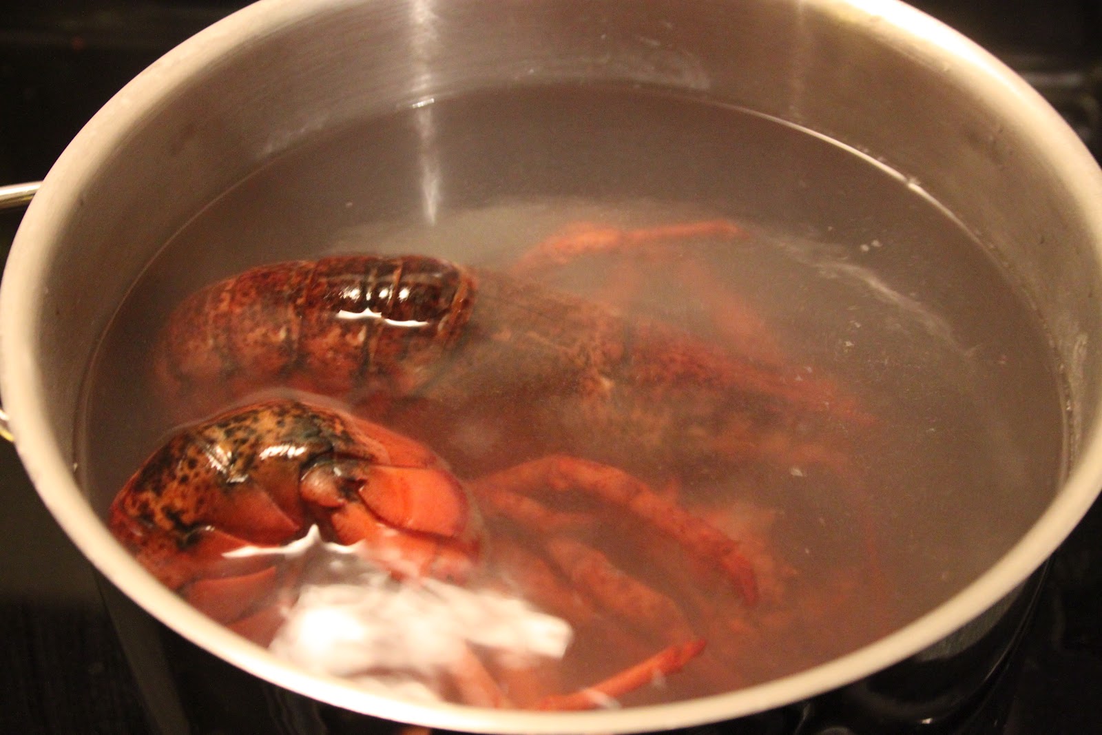 Everyday Foodie Lobster Hot Tub
