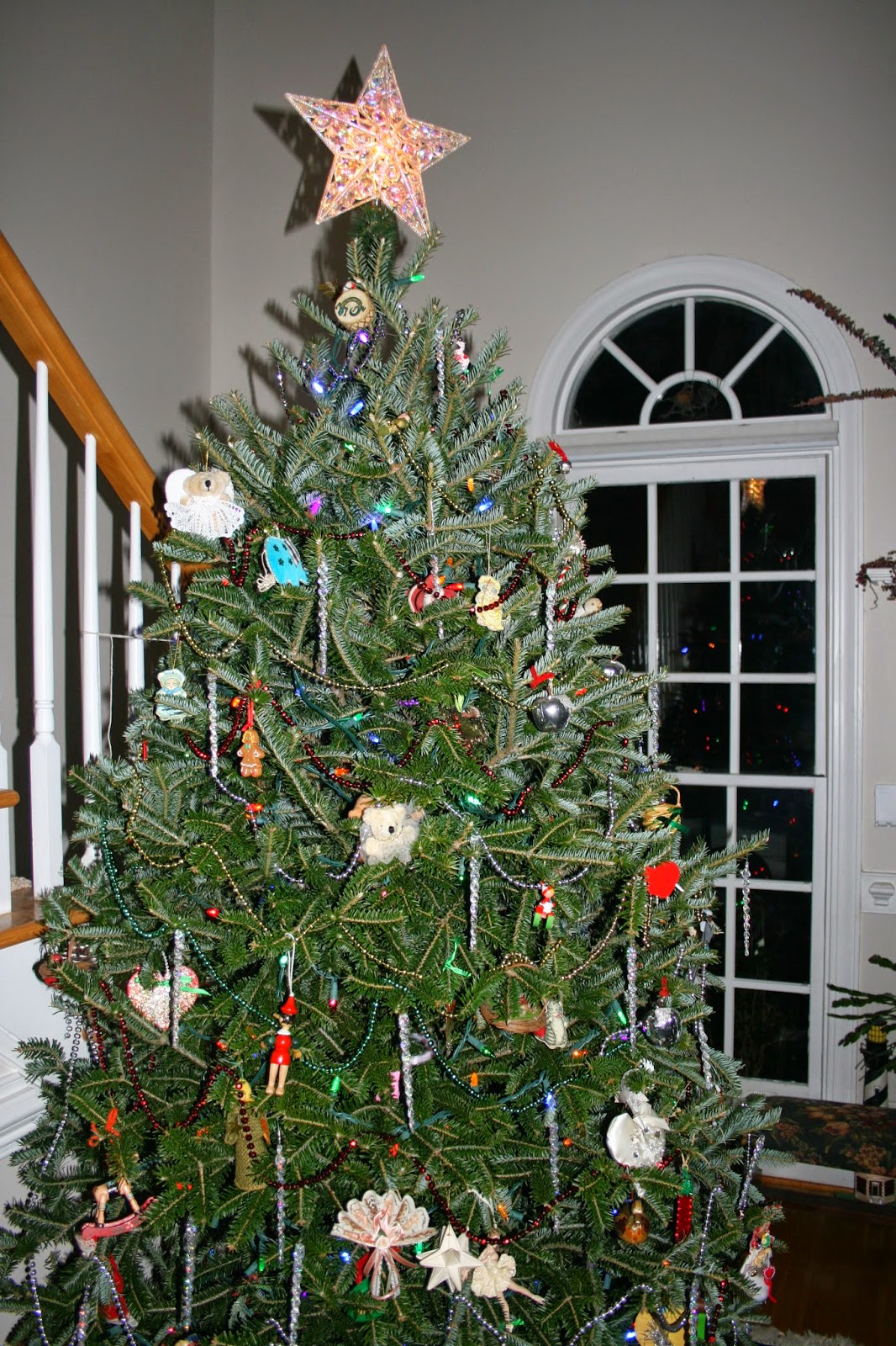 to the Pitt County Arboretum RECYCLE CHRISTMAS TREES