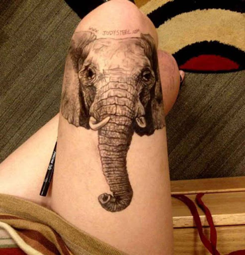 O elefante com um endereco de pagina da web