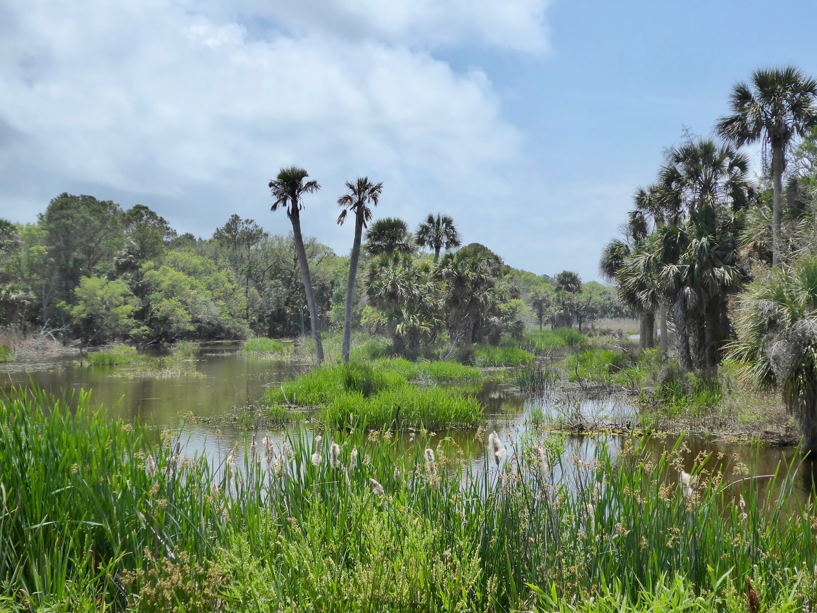 Hiking Oregon: Bull Island, Cape Romain National Wildlife Refuge, SC
