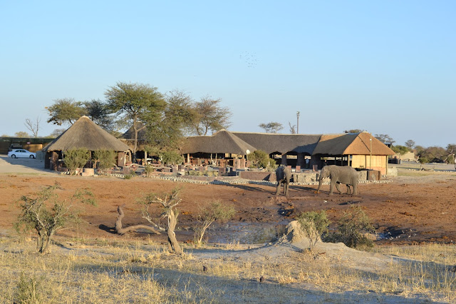 Día 13: De Kasane a Nata. Elephant Sands Lodge - Botswana y Cataratas Victoria. Viaje por libre de 19 dias (3)