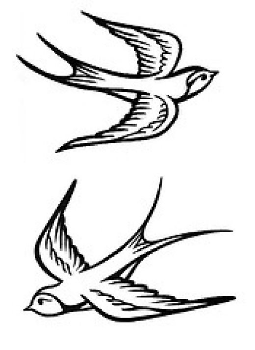 Swallow Bird Design 94