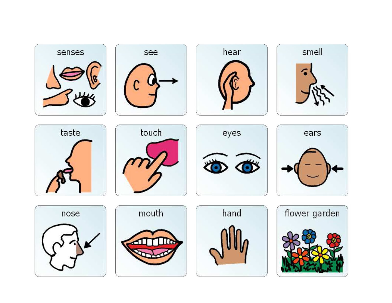 Life with Puzzling Boys Topic board...... 5 senses!!