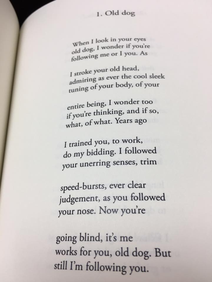 Galatea Resurrects 27 A Poetry Engagement Changing By Richard Berengarten