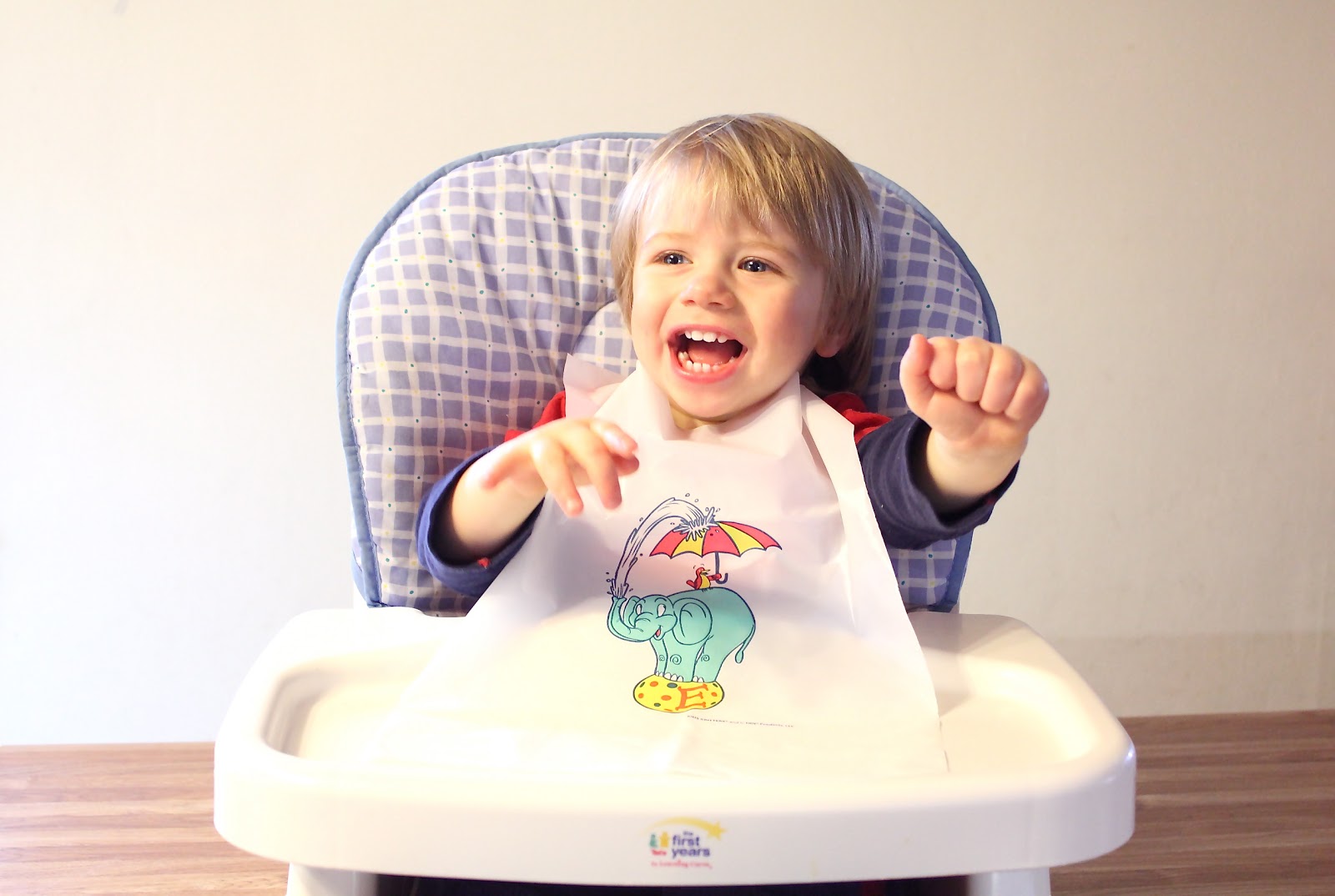 Champaign Plastics / Disposable Plastic Wear Kids Bibs Kids Kritters