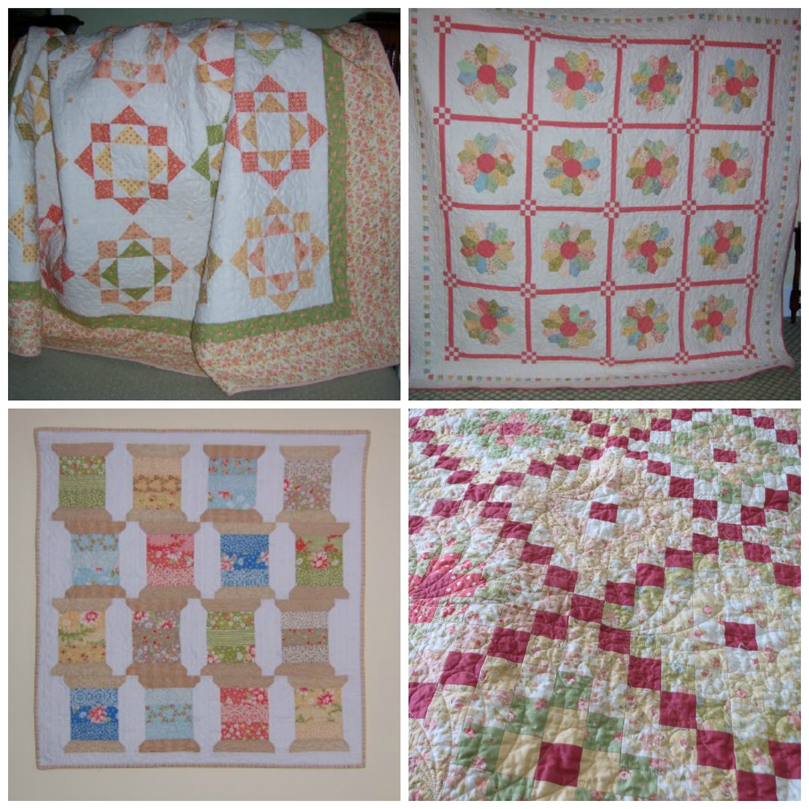 quilting-on-main-street-fig-tree-harvest-update