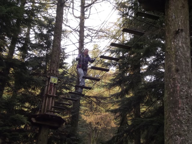 Lakes Single Mum: #CountryKids Go Ape at Whinlatter #WeLoveForests