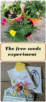 free flower seeds and volunteer plants