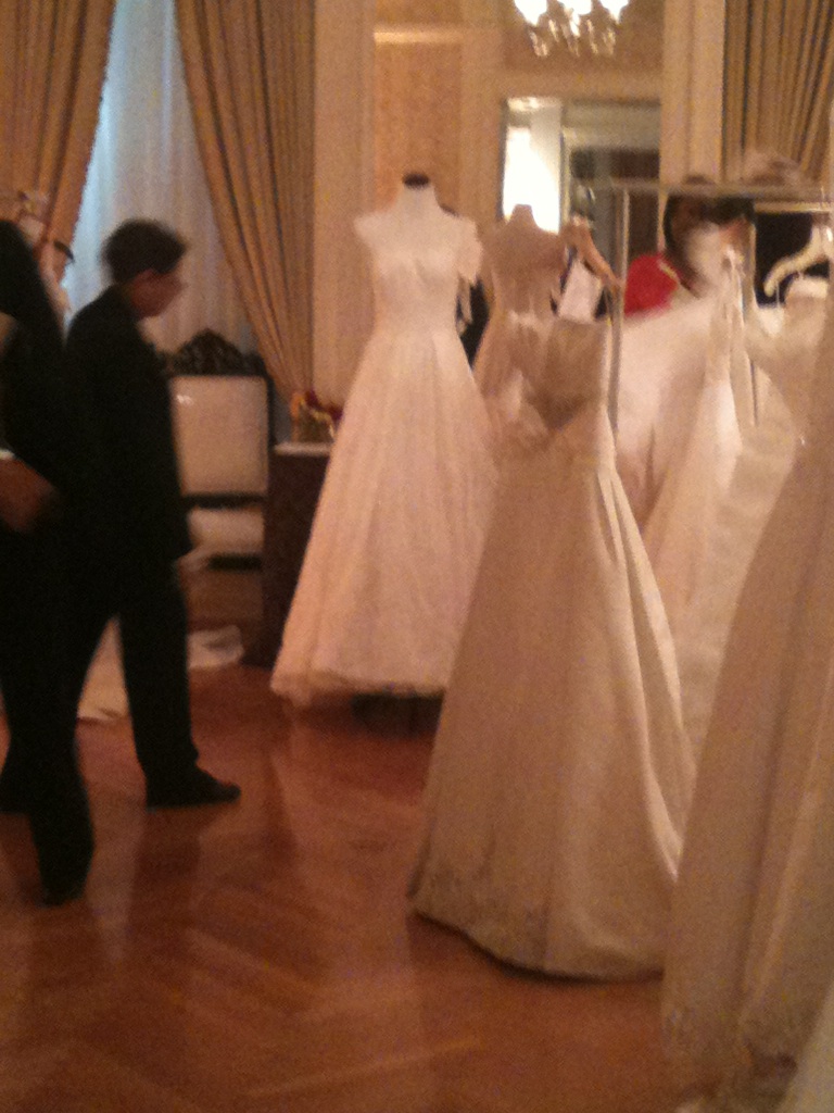 The Wedding Dress Party