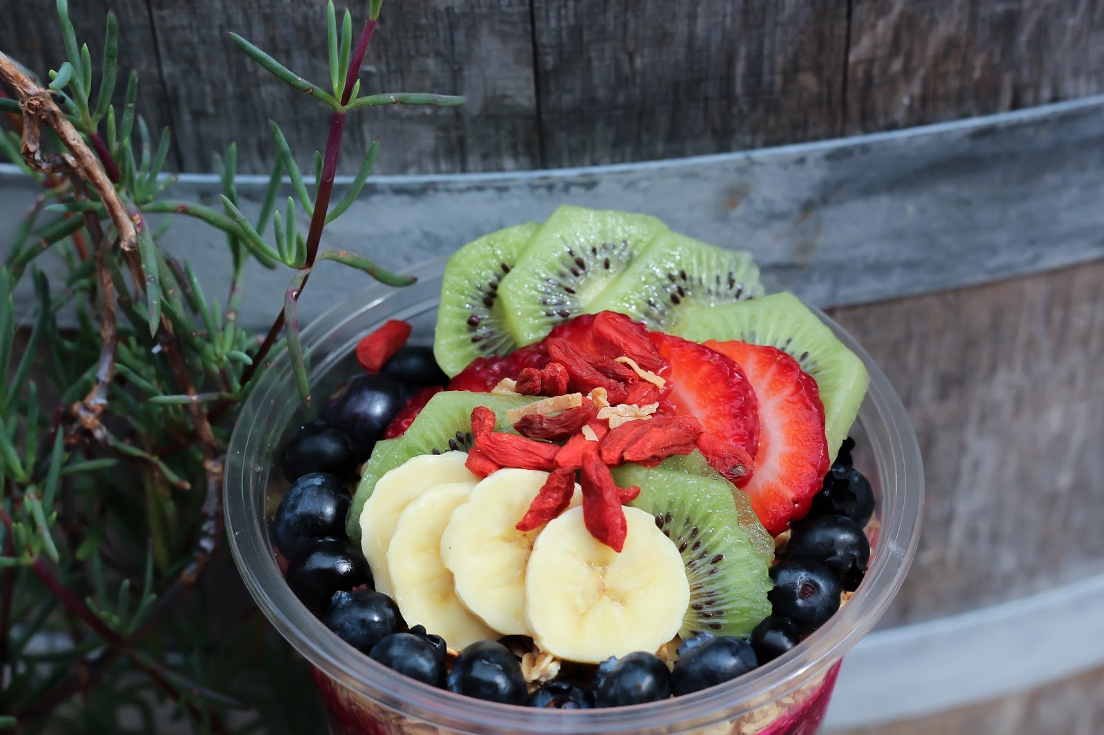 Mar. 11 12 Bogo Free BuildYourOwn Acai Bowls Acai Bowl Co. in