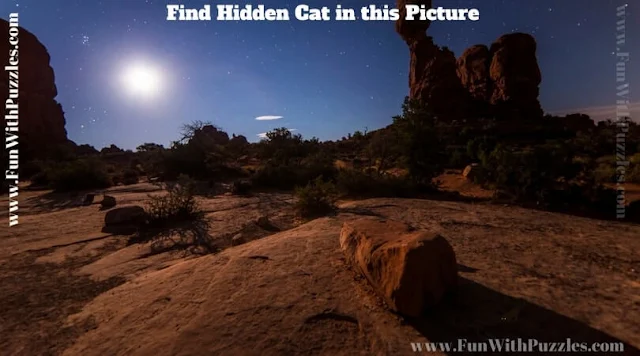 Hidden Animal Picture Puzzle to find hidden Cat