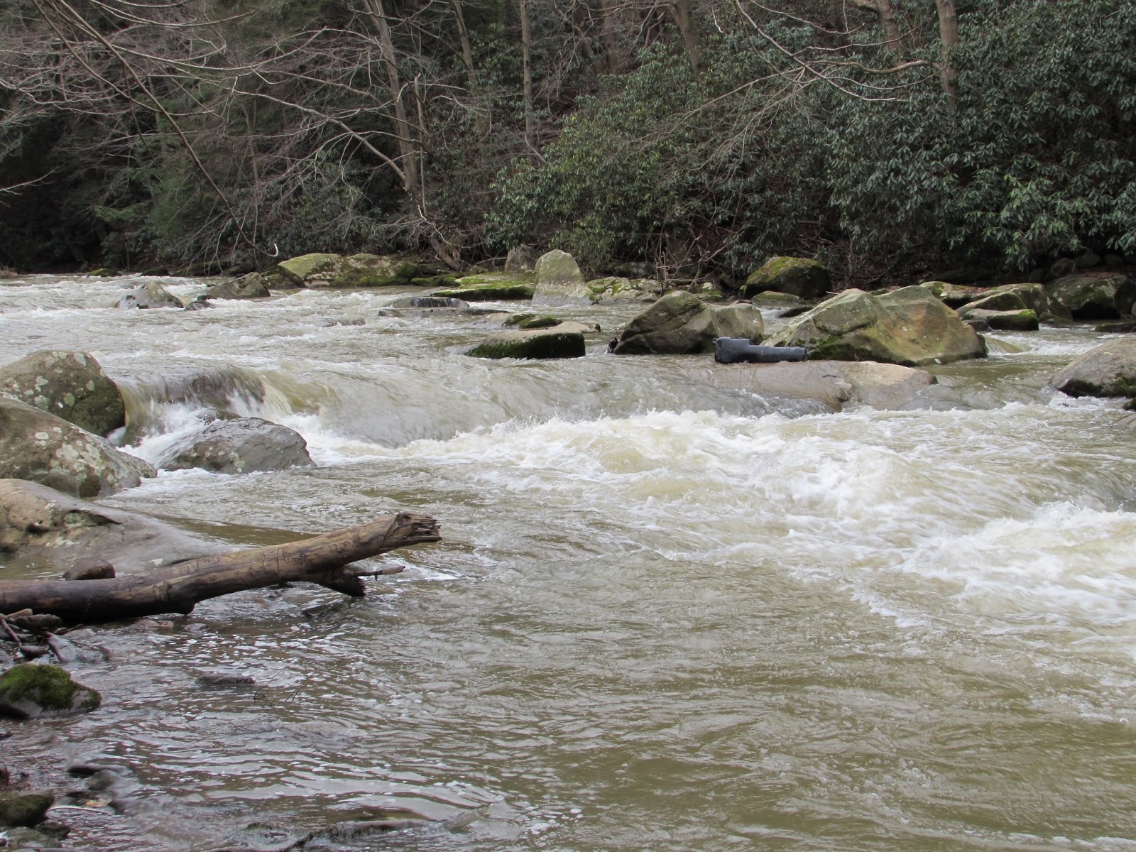 Buttermilk Falls North, Cowanshannock Trail, Armstrong County