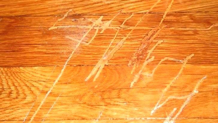 Flooring Stuffs Ideas How To Repair Laminate From The Scratches - Can You Fix Scratches On Laminate Flooring