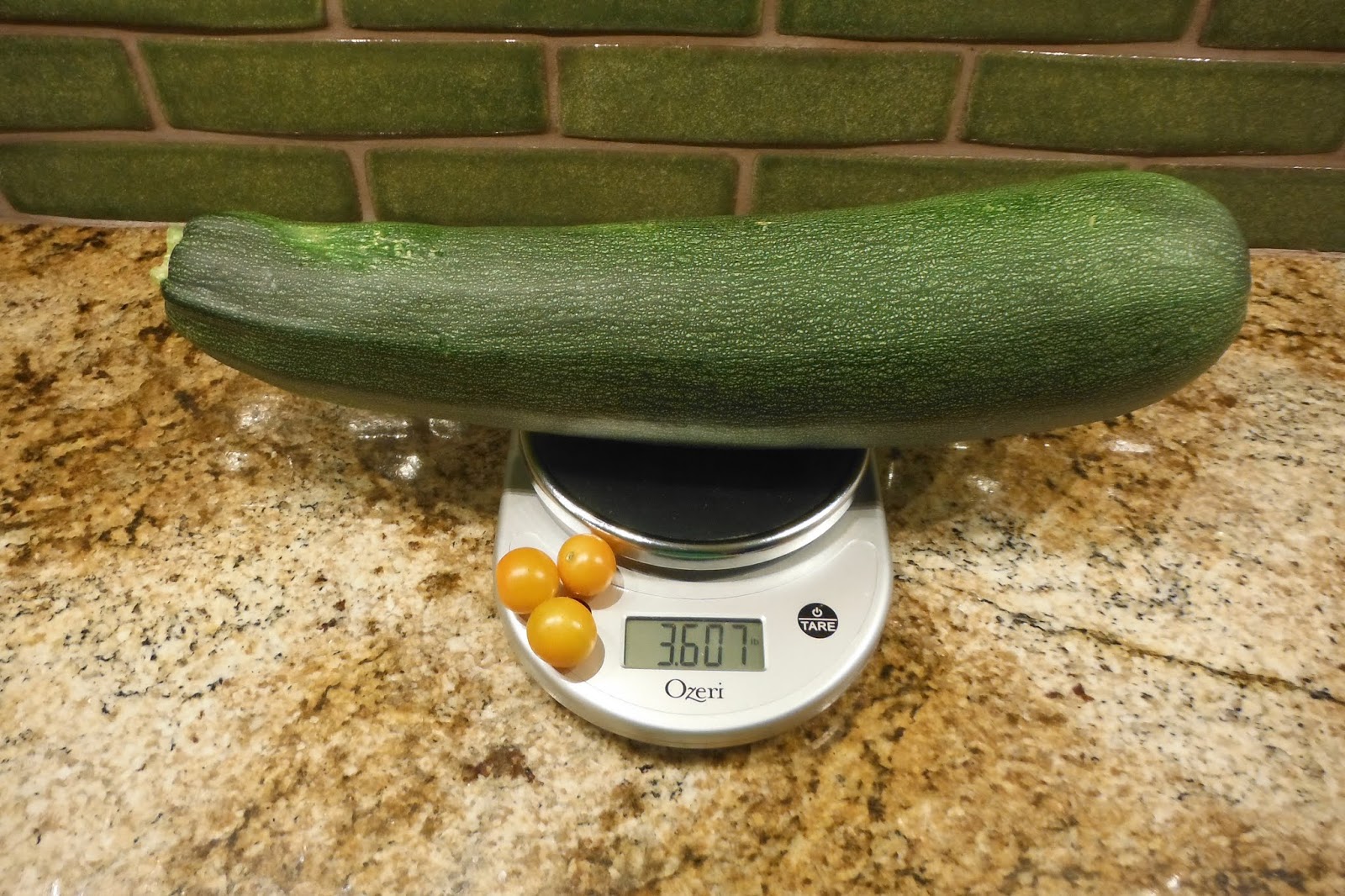 The Principal Undergardener The Squash of August