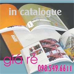 IN CATALOGUE GIÁ RẺ