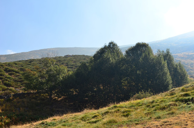 ALMANAQUE NATURAL: octubre 2011