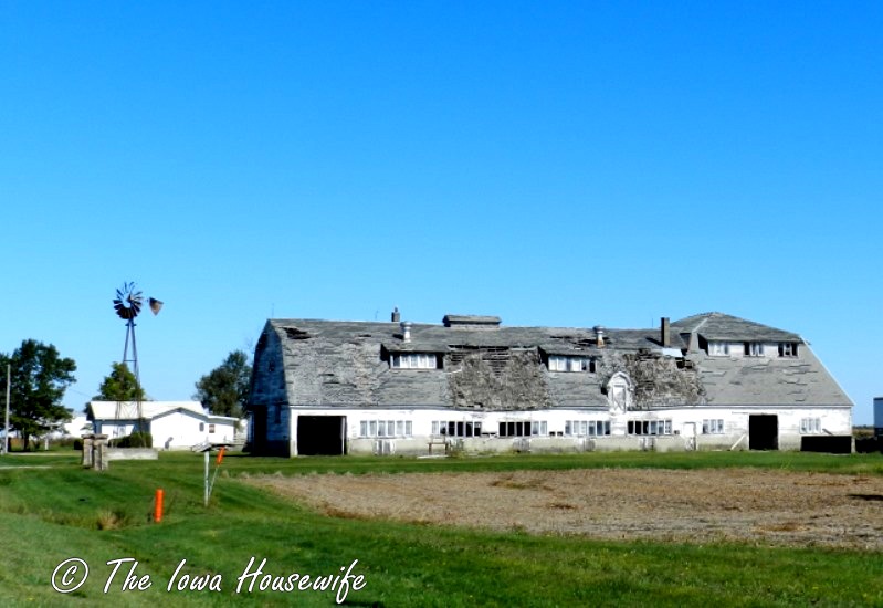 The Iowa Housewife Sunday in Iowa...