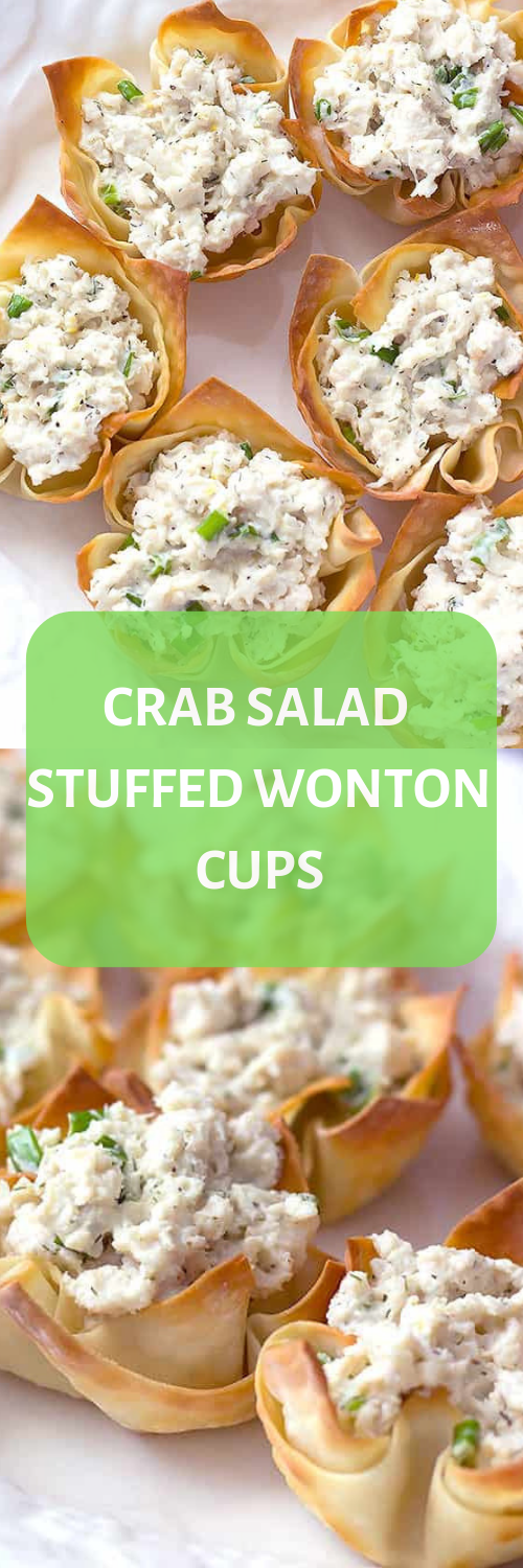 Crab Salad Stuffed Wonton Cups My Album Of Recipes