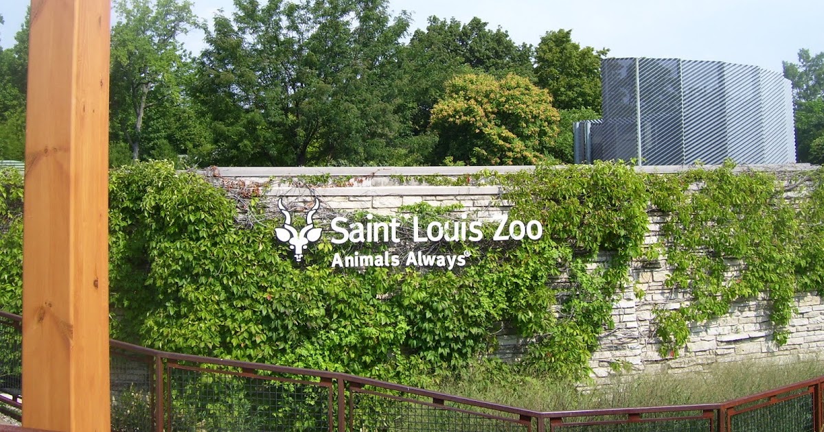 St Louis Zoo Train Ride Cost Paul Smith