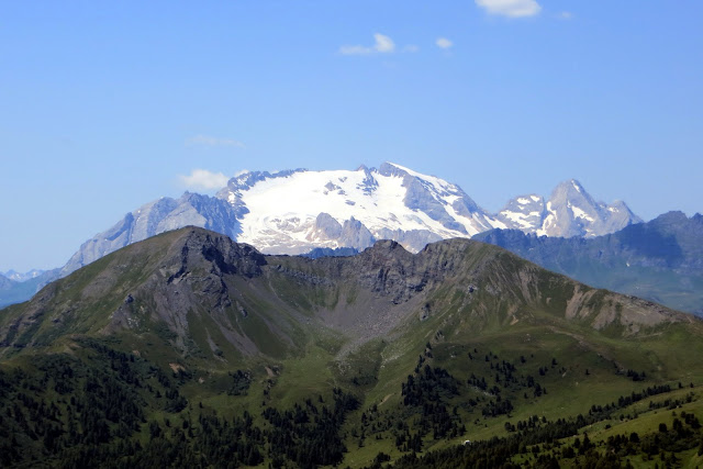 marmolada