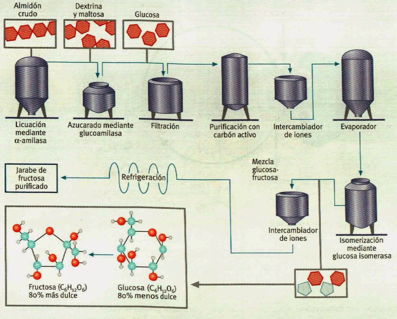 Apuntes de Biotecnología Uso de las enzimas en la producción de alimentos y forrajes