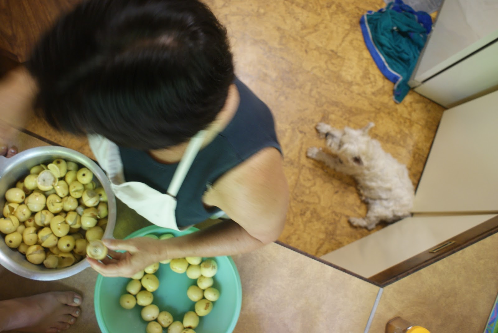 I and the world Marula Jelly