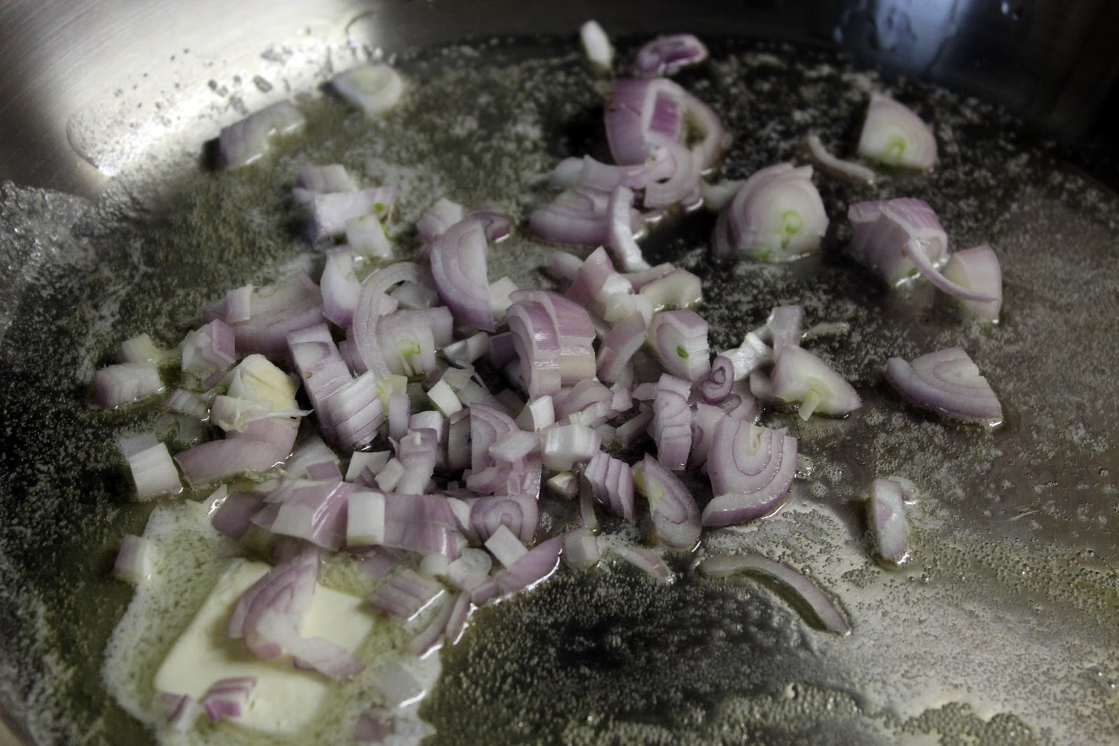 The Mushroom Hunter Pasta with creamy Morel sauce