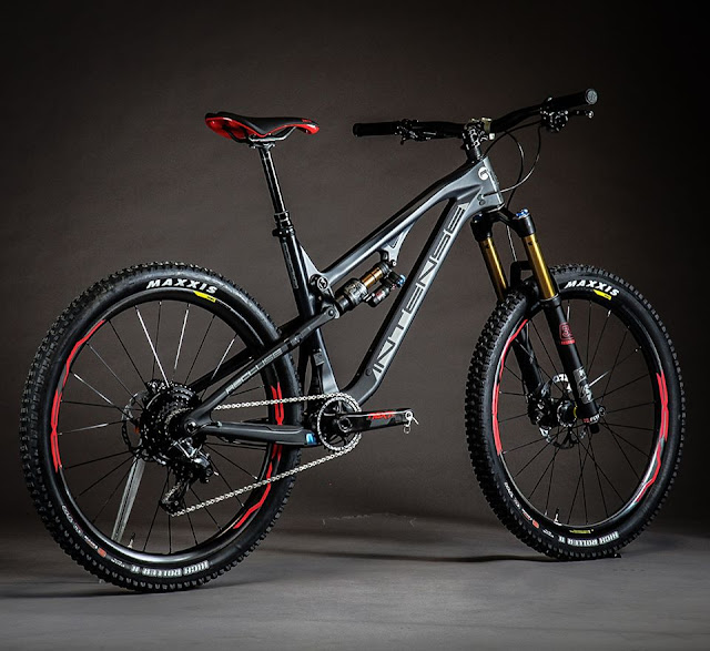 2019 intense recluse