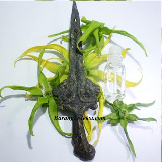 pusaka naga keris kembar pusaka keris naga kembar, keris kembar kuningan, sejarah keris naga kembar, asal usul keris naga kembar, keris kembar mini, keris naga kembar kuningan, keris nogo temanten, kegunaan keris nogo pengantin, keris nogo manten
