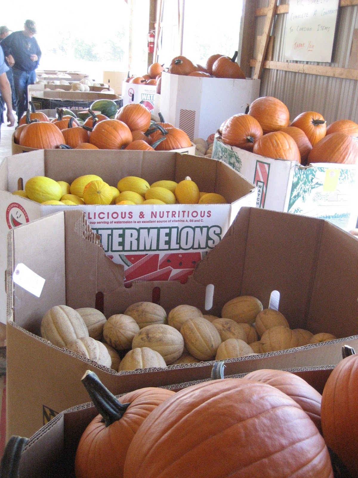 Owl Creek Produce Auction 09/14/17