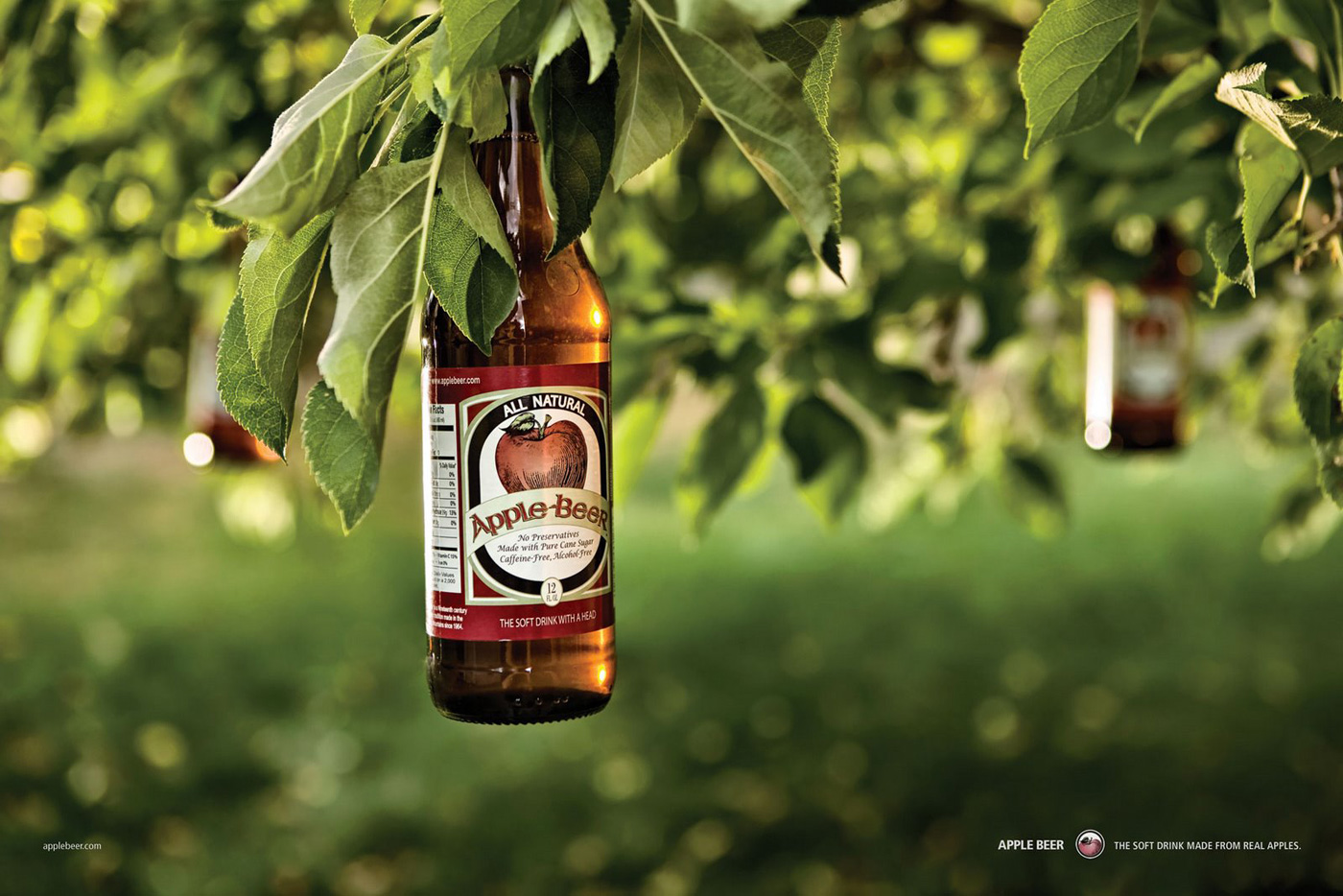 Friday Fact (on Monday) Apple Juice vs. Apple Cider vs. Apple Beer