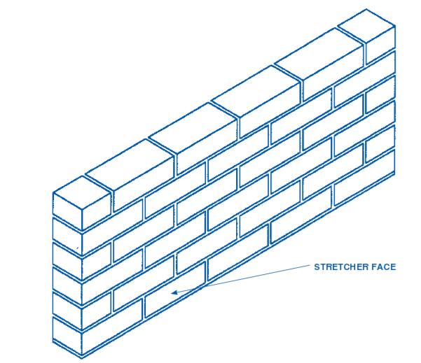 Rachel the Gardener Ivy on walls and on trees