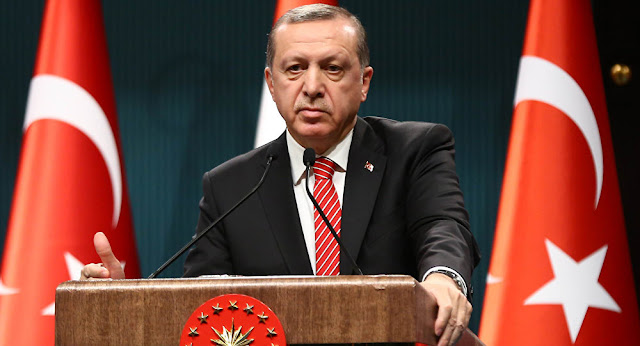 Erdogan - MichellHilton.com