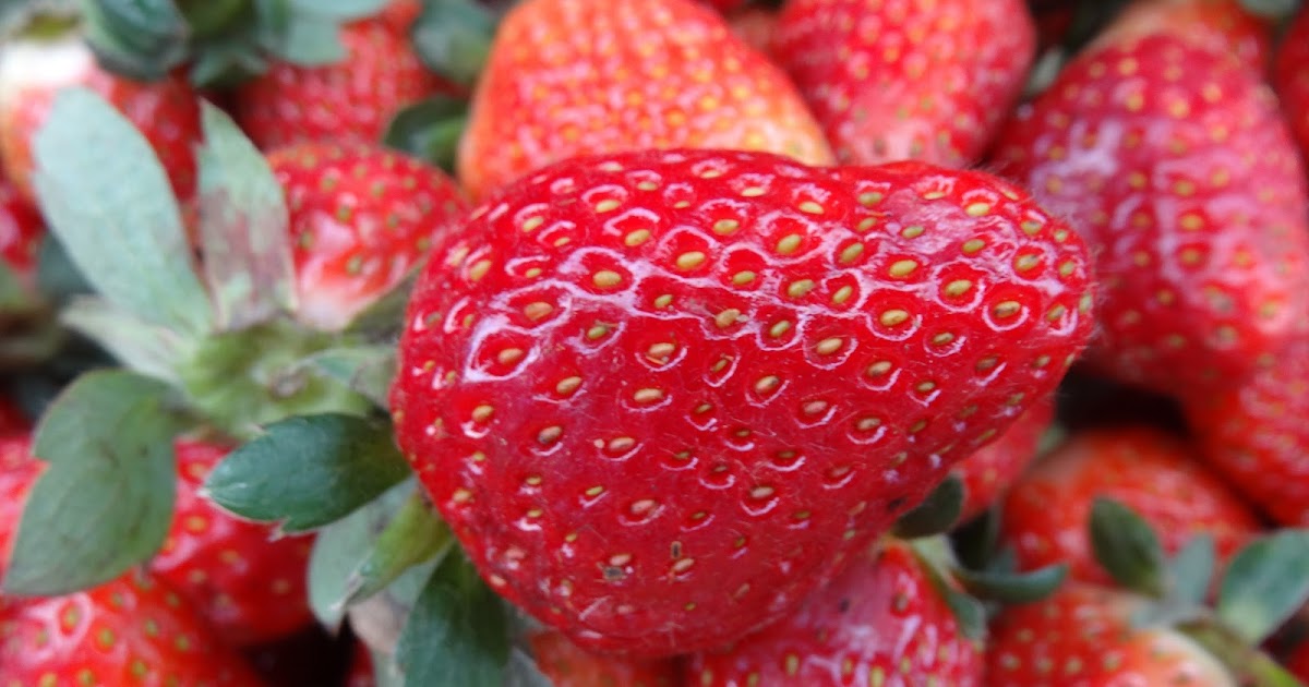 Cuatro jugos de fresa saludables y deliciosos