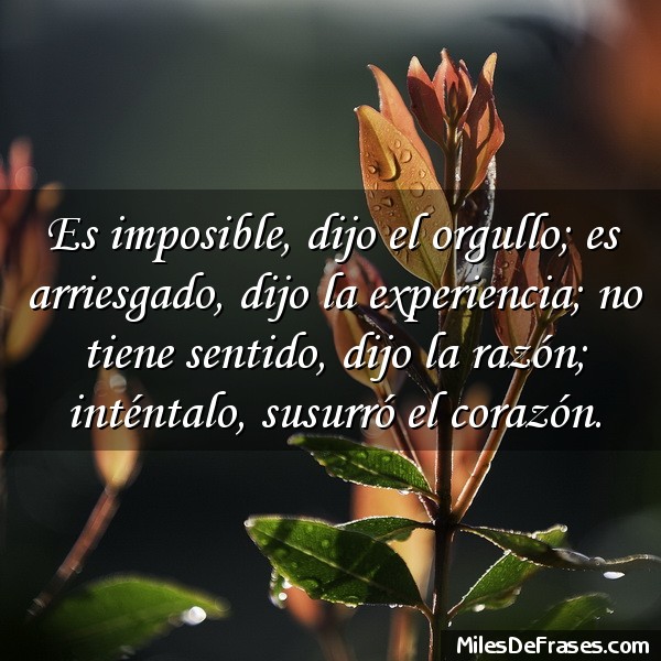 Imagen relacionada