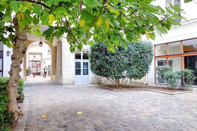 Paris Passage Dauphine, échappée verdoyante à SaintGermaindesPrés