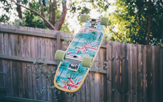 Papan Skateboard