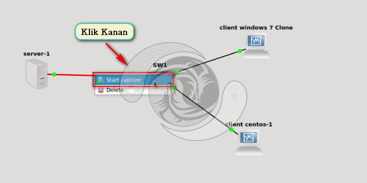 Start capture. Start capture. Screeny42. Startcapture 5 desktop. Start capture.