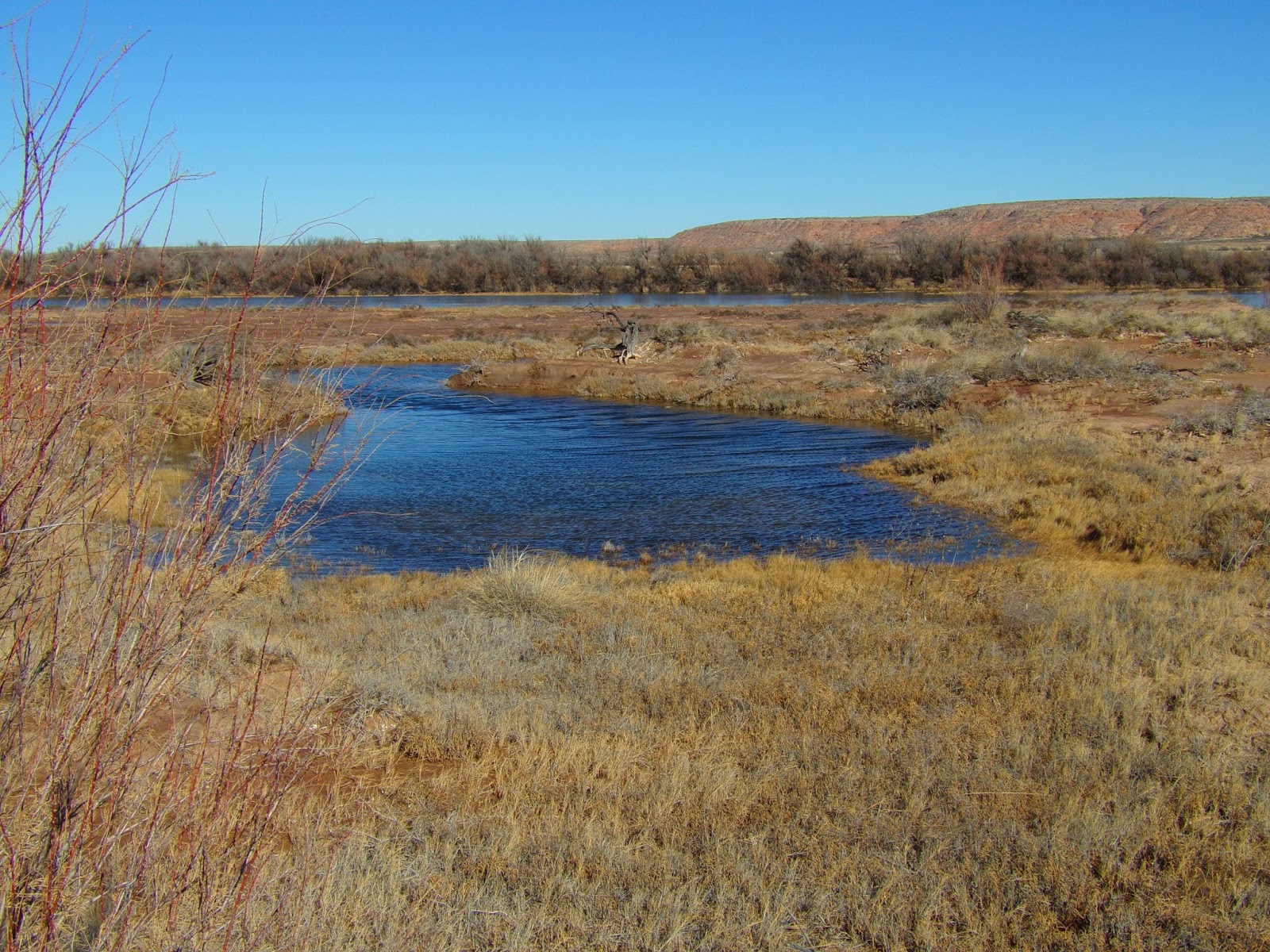 Bitter Lake National Wildlife Refuge New Mexico