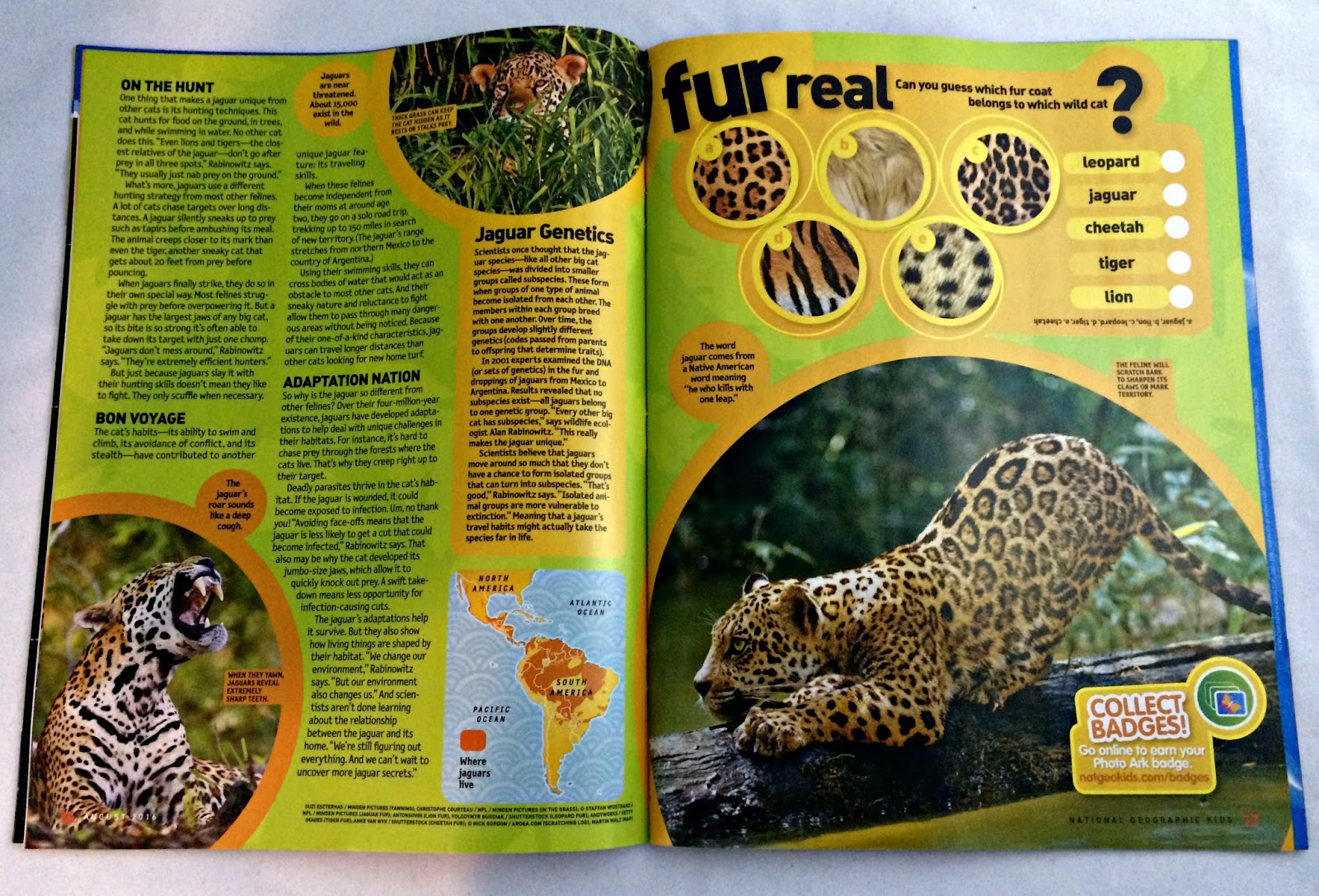 A GEEK DADDY: National Geographic Kids Magazine - Summer Issue