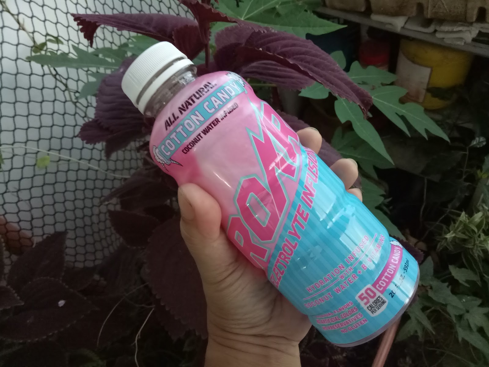 Go AllNatural with ElectrolyteInfused Roar Sports Drink Wazzup