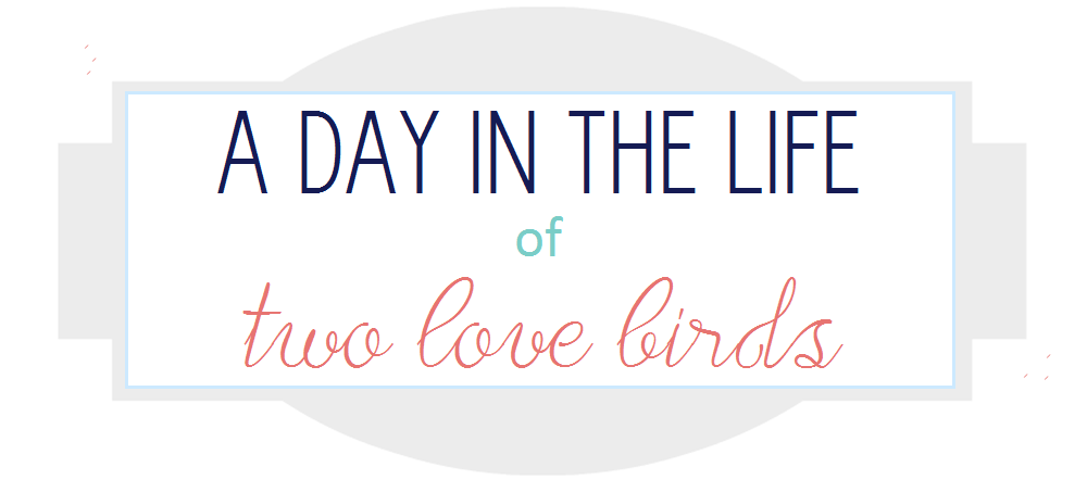 A Day In the Life of Two Love Birds.