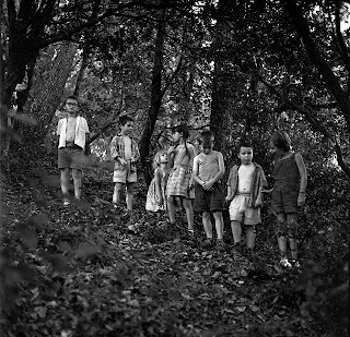 Groupe d'enfants perdus dans la forêt.