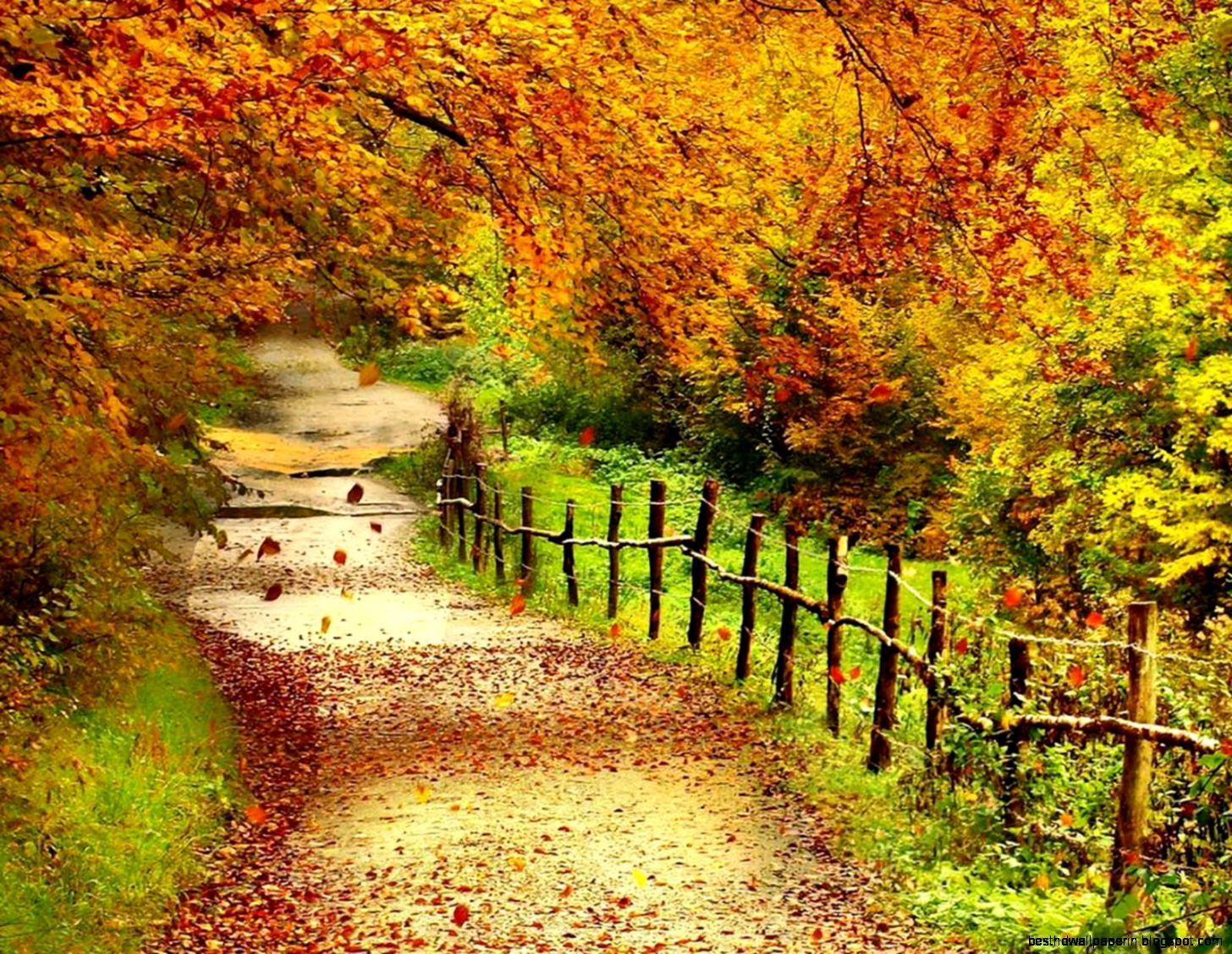 Beautiful Autumn Scenery