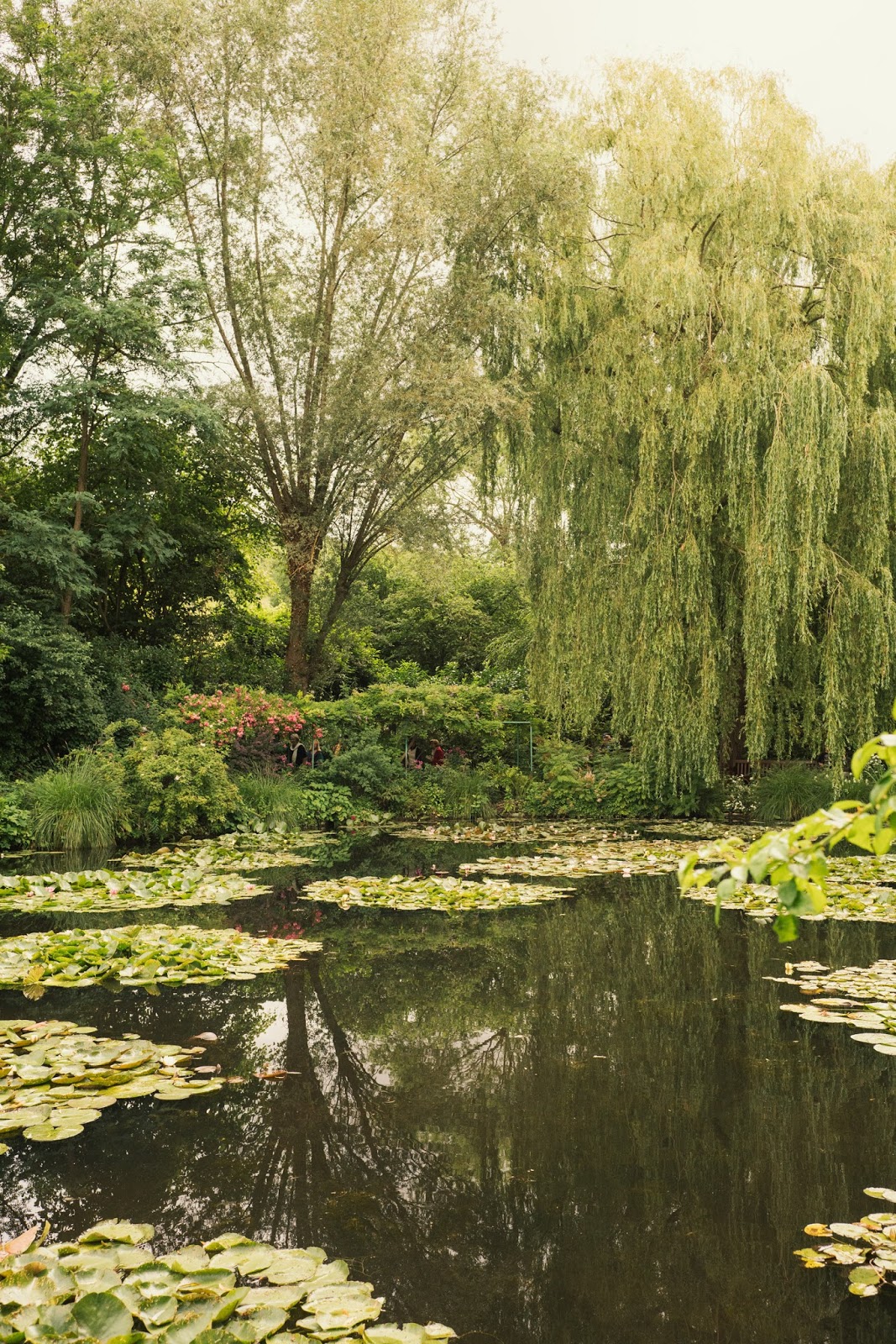 Monet's Garden